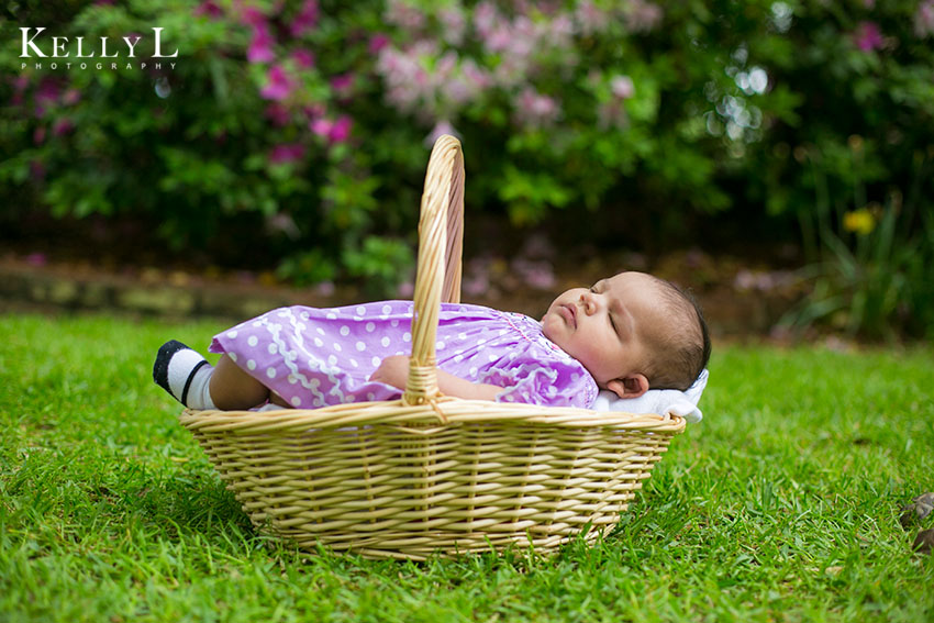 sleeping baby in basket