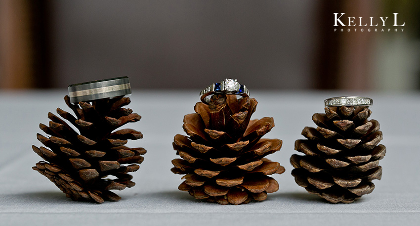 wedding rings on pinecones, fall wedding