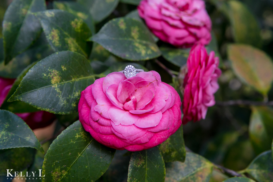 engagement ring on a pink flower